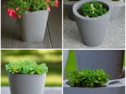 Jak zrobić betonowe donice na kwiaty
