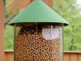 Jak zrobić duży karmnik dla ptaków